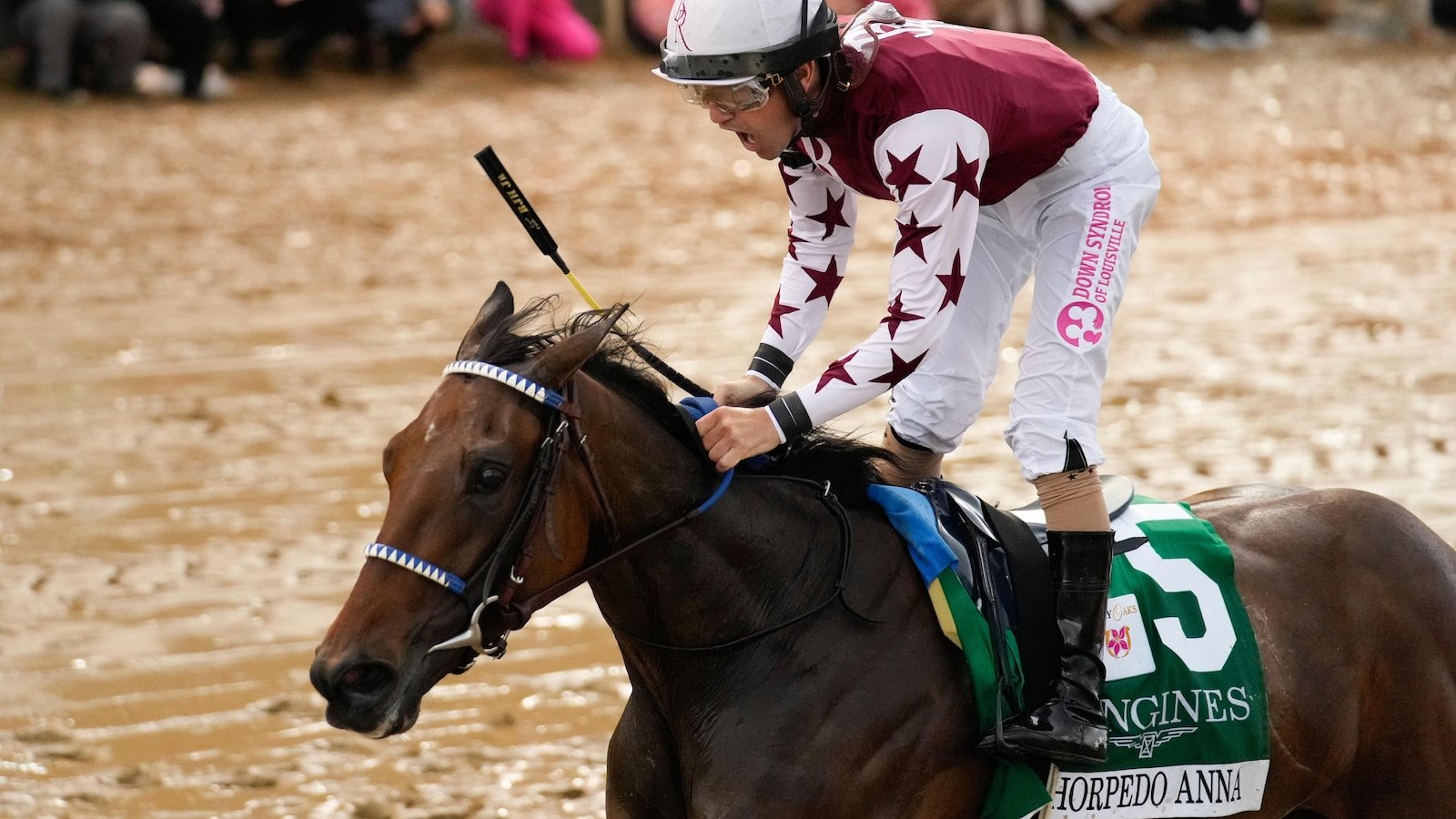 Thoredo Anna, reigning horse of the year, to visit the clinic after the surprise loss