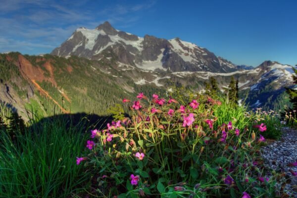 Three climbers fell 400 feet to death. A climber survived and was helpful