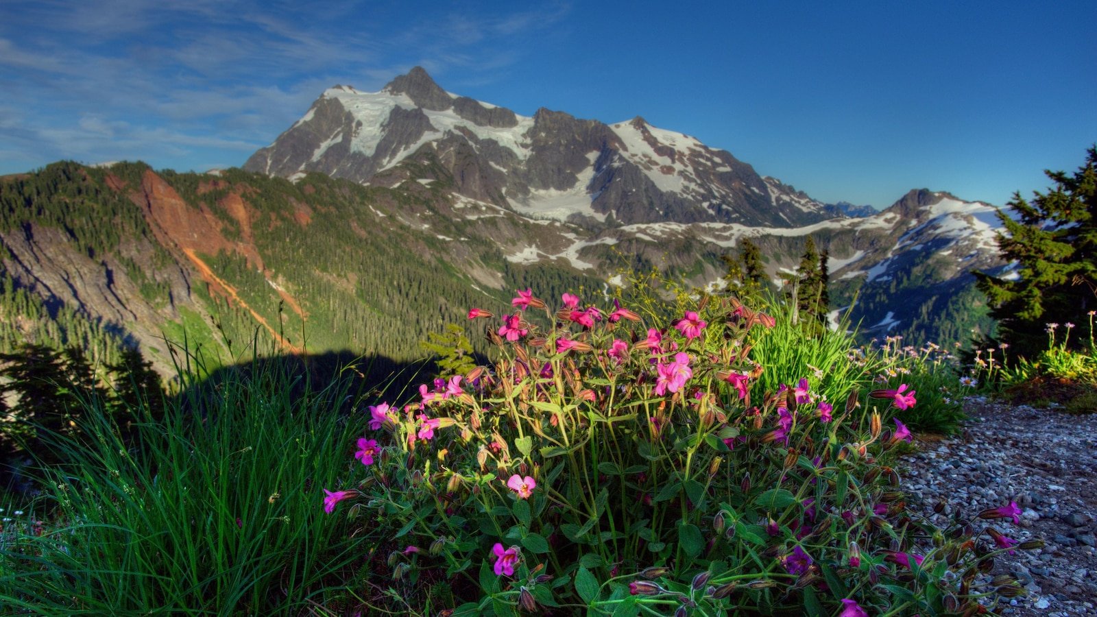 Three climbers fell 400 feet to death. A climber survived and was helpful