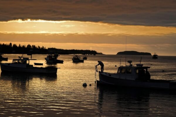 Trump's budget would reduce ocean data and leave navigators, fishermen and forecasters fighting for information