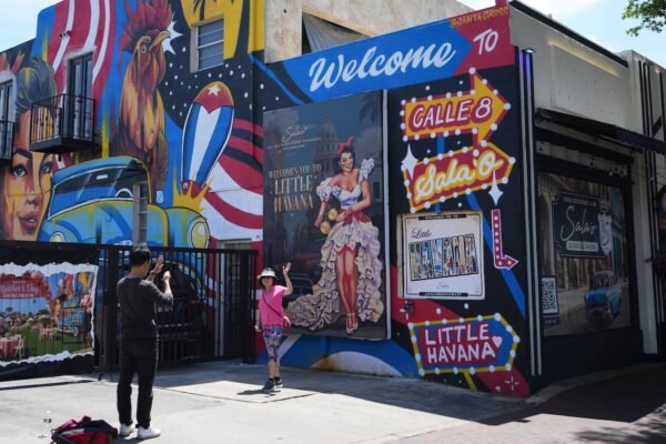 Wild chickens take over Miami while some hug the roosters as a cultural symbol