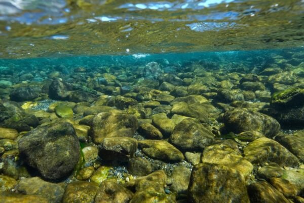 California Yurok tribe recovers ancestral lands that were taken 120 years ago