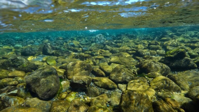 California Yurok tribe recovers ancestral lands that were taken 120 years ago
