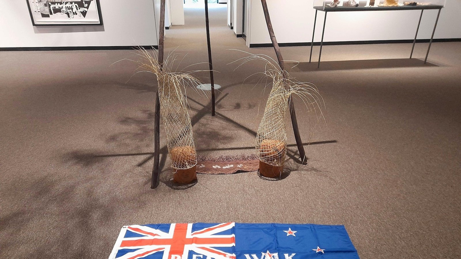 The protests for the works of art of the flag 'please walk on me' request their elimination of the New Zealand gallery, again